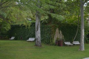 Piscina san Roque. Zona verde