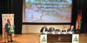 El Gobierno de Castilla-La Mancha se muestra contrario a que se flexibilicen los criterios para que agricultores que no son profesionales cobren la PAC