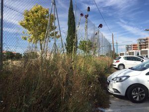 Hospital de Guadalajara. Problemas aparcamiento