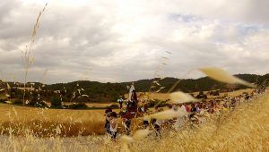 ROMERIA VIRGEN DE TEJEDAA