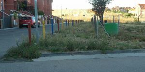 Torrejón del Rey. Plan Empleo. Maleza en espacios  públicos