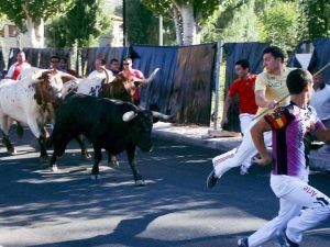 encierro_lupiana_2011