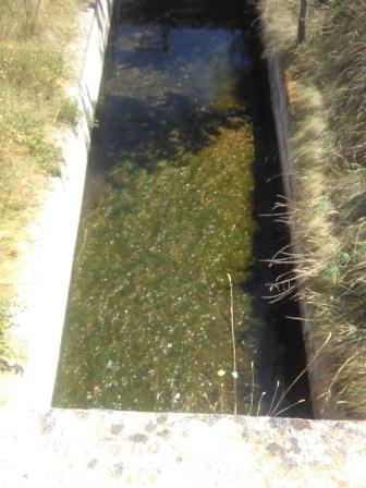 El Ayuntamiento de Matillas alerta del lamentable estado de suciedad y malos olores del canal que atraviesa el pueblo 3 El Ayuntamiento de Matillas alerta del lamentable estado de suciedad y malos olores del canal que atraviesa el pueblo