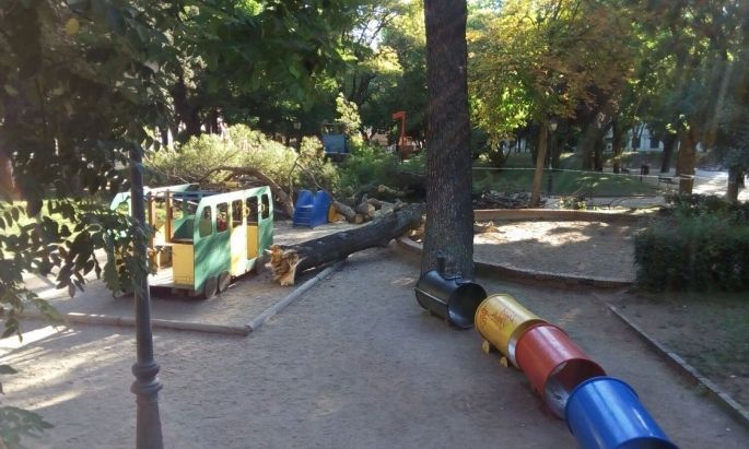 Cae un árbol en la zona de juegos infantiles de La Concordia