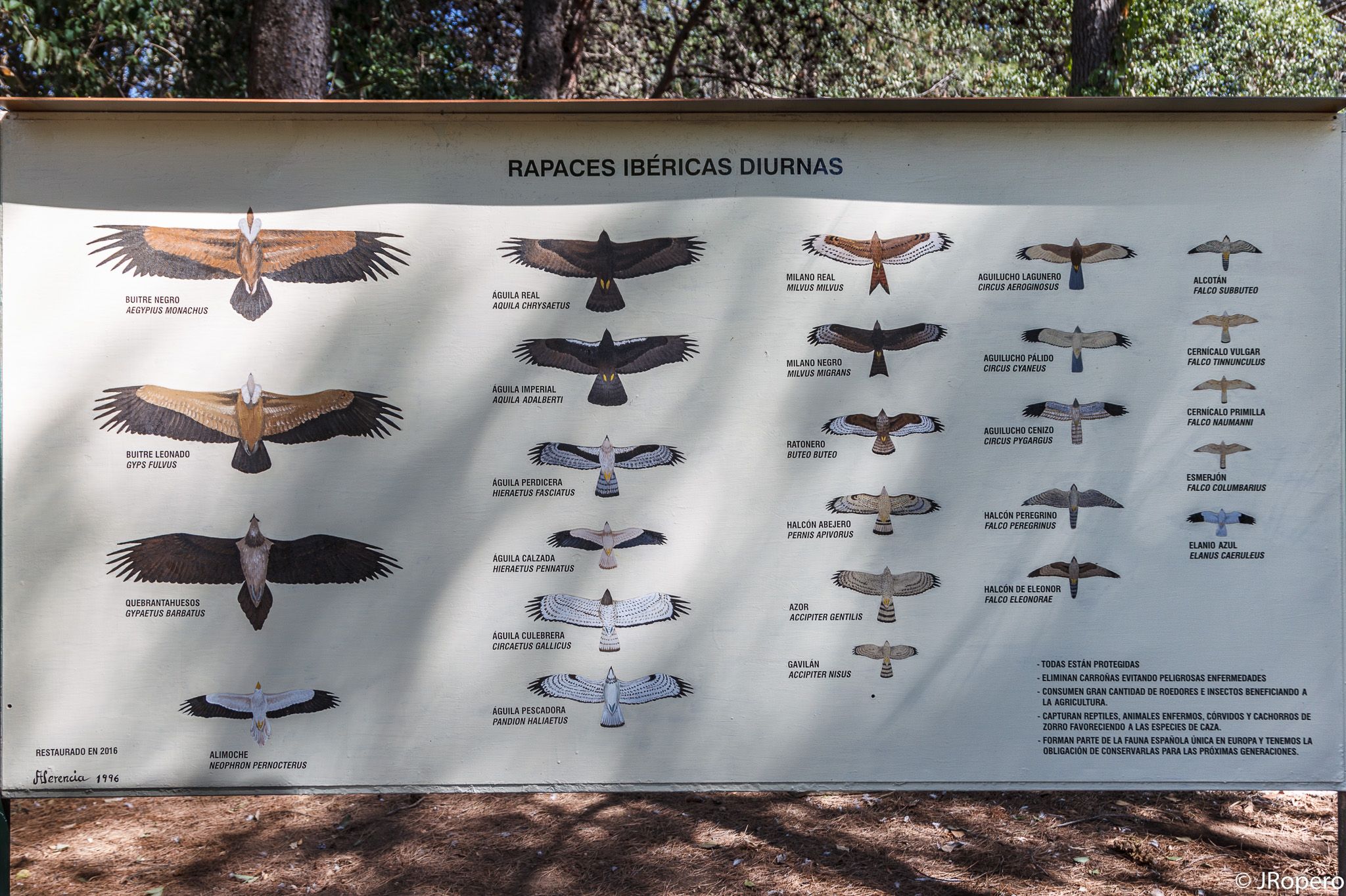 Restaurado el panel de aves rapaces ibéricas diurnas del Zoo municipal de Guadalajara