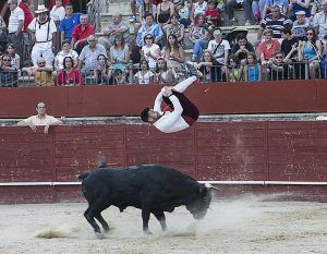 Gran recorte en Trillo. 