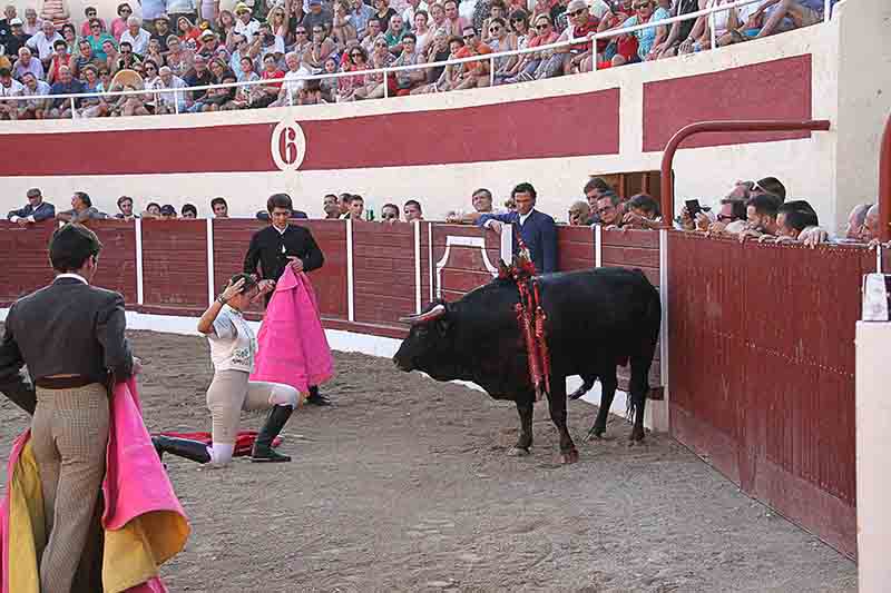 La rejoneadora Ana Rita triunfa en el trigésimo aniversario de la Plaza de Toros de Almonacid 1 AnaRita1