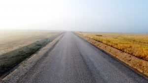 caminoplantaalmodovarnota