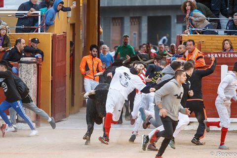 Seis heridos en el cuarto encierro de las fiestas de Guadalajara