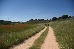 foto-diputacion-viaje-prensa