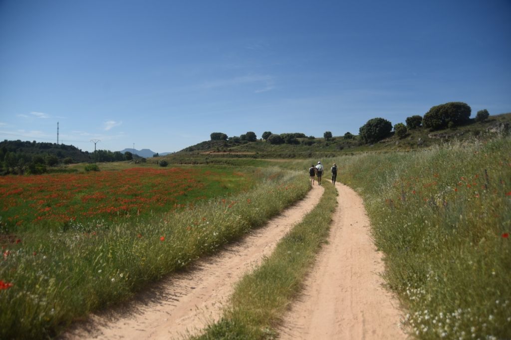 Diputación de Guadalajara y la CEOE organizan un viaje a La Alcarria para medios especializados en turismo