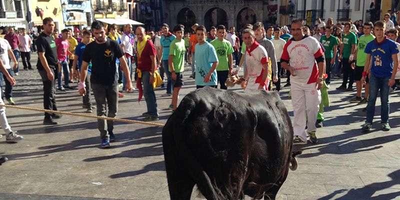 San Mateo se va despidiendo sin heridos por asta de vaca pero con picaduras, esguinces, ansiedad…