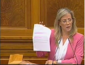 Merino culpa a Page del deterioro de la Sanidad y de que se hayan disparado las listas de espera 3 La minoría del PSOE hace posible que PP y Podemos consigan ayudas para la agricultura ecológica