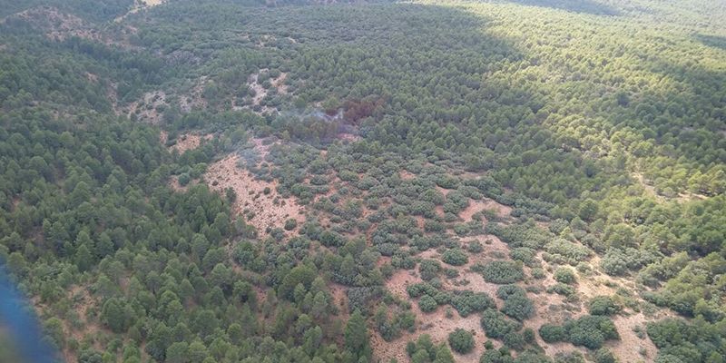 Cuenca acogerá la presentación del proyecto GEPRIF sobre la gestión integrada del fuego en masas arboladas