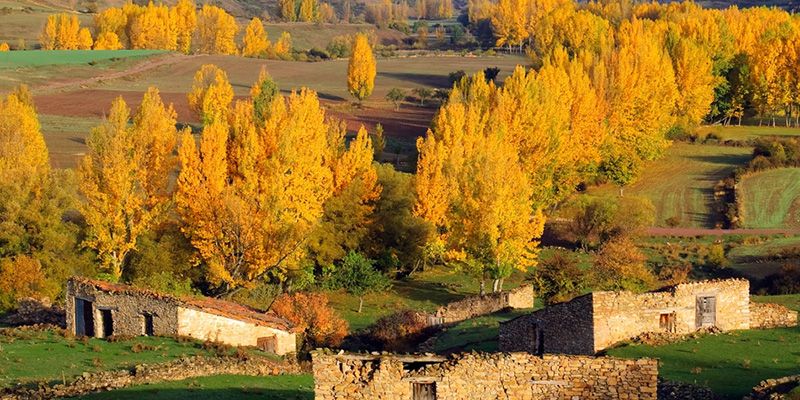 La Junta colabora con la Red de Ciudades AVE para promocionar Castilla-La Mancha como destino turístico de interior 1 p1atdtvcus10ed1gte1r6bk5527b4