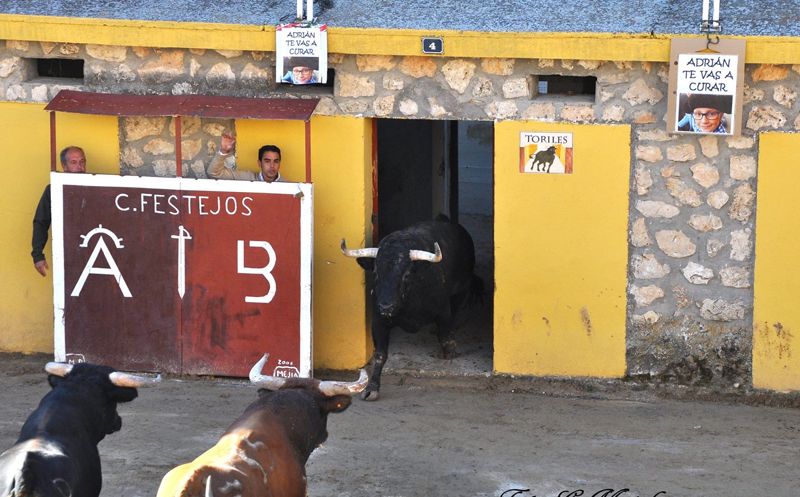 Illana celeba su encierro de octubre solidarizándose con Adrián 1 14707939 1181915158514528 8827387242788920787 o