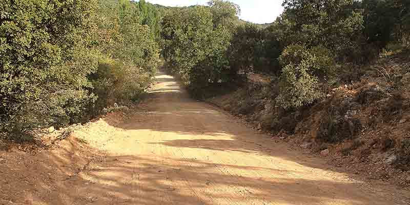 Fuentenovilla mejora sus caminos