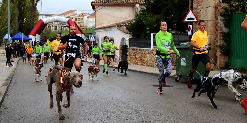 Triunfo de los favoritos en el primer canicross de la temporada celebrado en Trillo