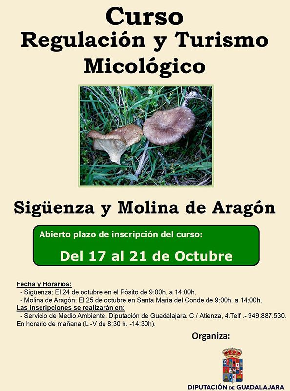 Abierto el plazo de inscripción para el curso sobre turismo micológico en Sigüenza y Molina