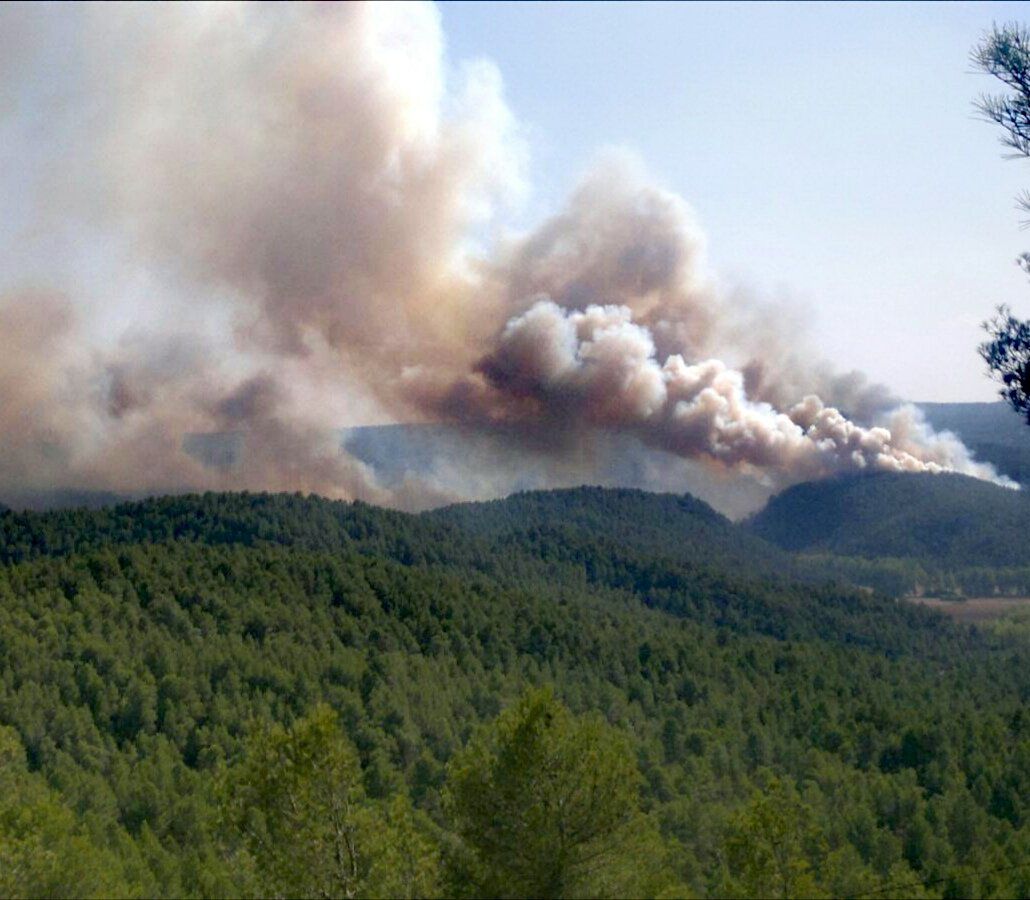 Cuatro medios y nueve personas trabajan para extinguir un incendio declarado en Enguídanos