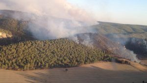 Foto: @BRIFpradotwit 