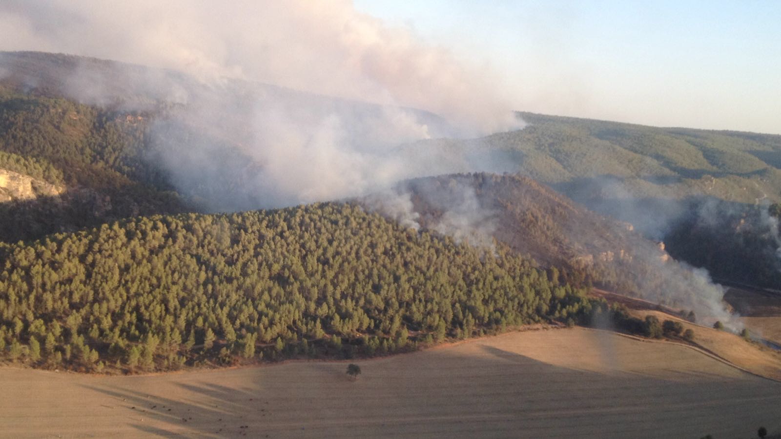 Los medios aéreos se retiran de los trabajos de extinción del fuego de Enguídanos
