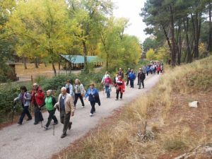 el-gobierno-castilla-la-mancha-inicia-el-programa-de-rutas-senderistas-que-incluye-11-rutas-con-1-700-plazas-dirigidas-a-mayores