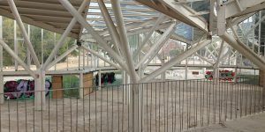 foto-bosque-de-acero-2