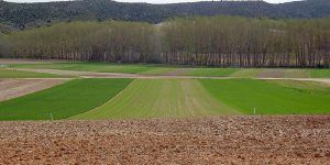 fincaalbaladejitonota