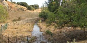 Desbroce en el nacimiento del Río Henares 
