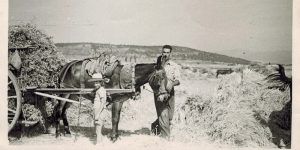 laboresdelcampoanos60