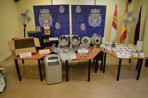 Intervenidas 1.300 plantas de marihuana en El Casar