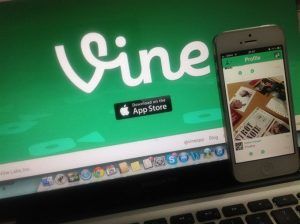 Vine