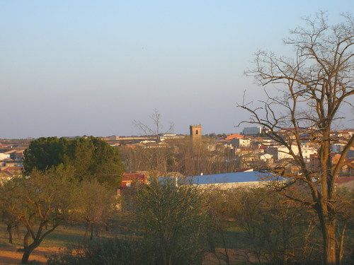 Casasimarro reduce un 80% el IBI para el sector del champiñón y las empresas del polígono industrial