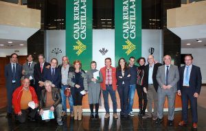 20161117-taller-conflictos-cooperativas-familia-pequena