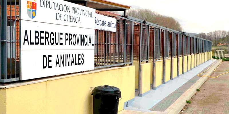 Diputación de Cuenca asume de manera provisional la gestión directa del Albergue Provincial de Animales