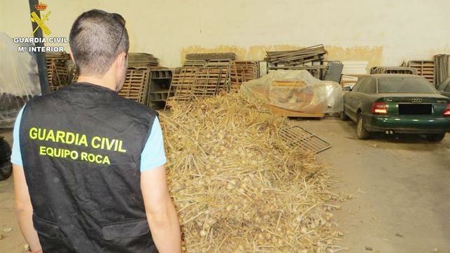 Los equipos Roca de la Guardia Civil han detenido en tres años a 856 personas en Castilla-La Mancha