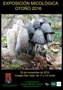 cartel-exposicion-micologica-2016