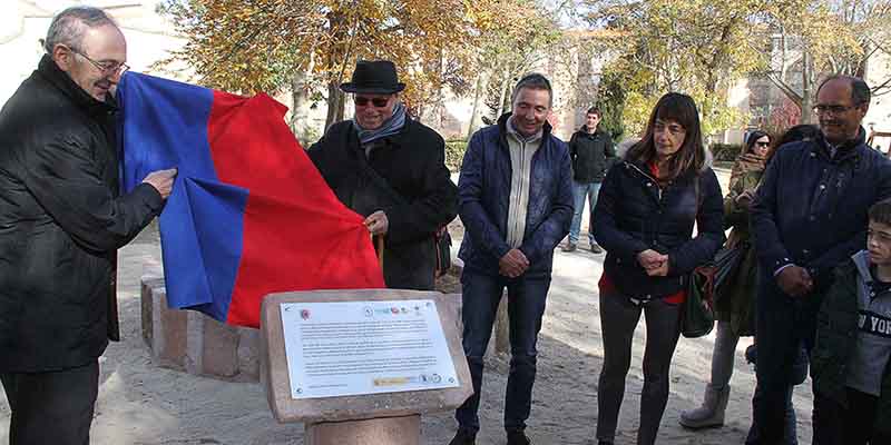 El proyecto ‘Un olmo y mil historias’ llega a La Alameda de Sigüenza