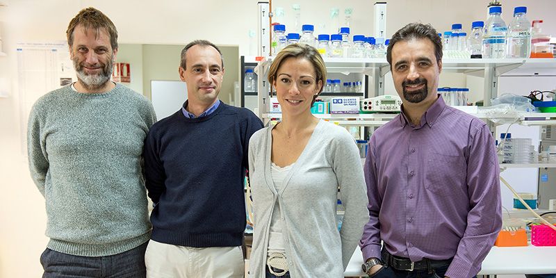 El Hospital de Parapléjicos, becado para el desarrollo de una nueva terapia basada en el papel neuroprotector de una molécula de ARN