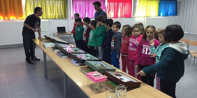 Los niños de Quer aprenden sobre insectos de la mano de Jesús Balandín, coleccionista y entomólogo