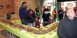 exposicionmicologica2