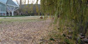 foto-ribera-del-jucar-2