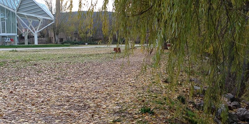 C´s exige a Mariscal que reclame a la CHJ la ejecución del convenio para acondicionar las riberas del Júcar