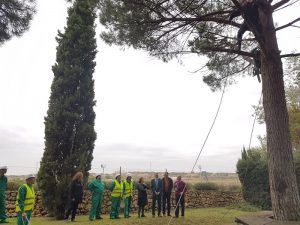 foto-diputacion-curso-poda-dipuemplea-plus-4-11-16