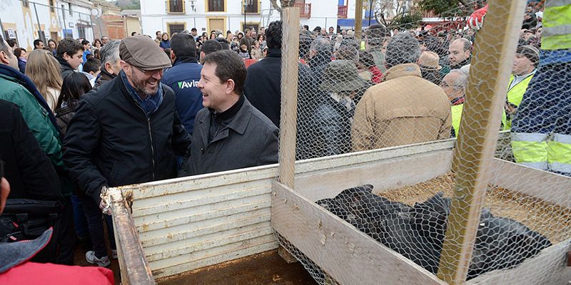 La Junta sanciona a Puerto Lápice por el festejo ‘Atrapa al Gorrino Antón’, el mismo que Page quería promocionar cuando era candidato 1 Foto: lanzadigital.com
