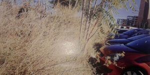 hospital-aparcamiento-hoy