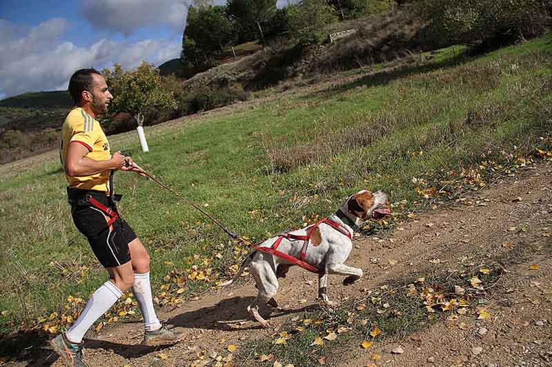 Juan Carlos de la Luz y Neo vencen, en un apretado final, el I Canicross de Pareja