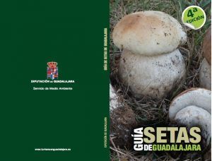 libro-de-setas-2014