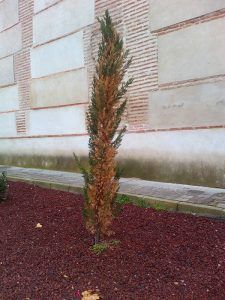 torrejon-del-rey-actuaciones-programas-insercion-laboral